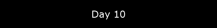 Day 10