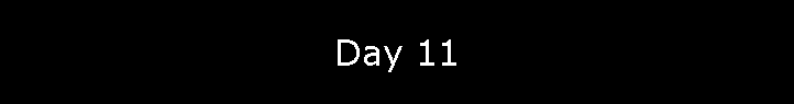 Day 11