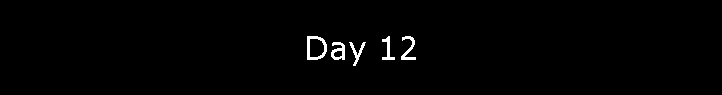 Day 12