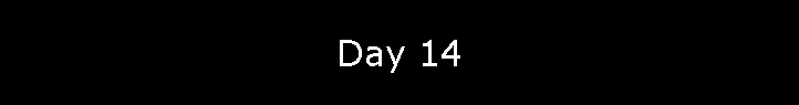 Day 14