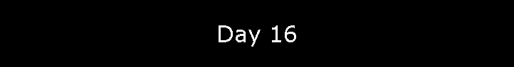 Day 16