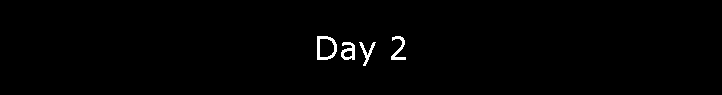 Day 2