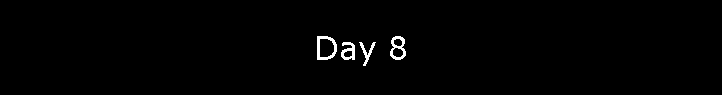 Day 8